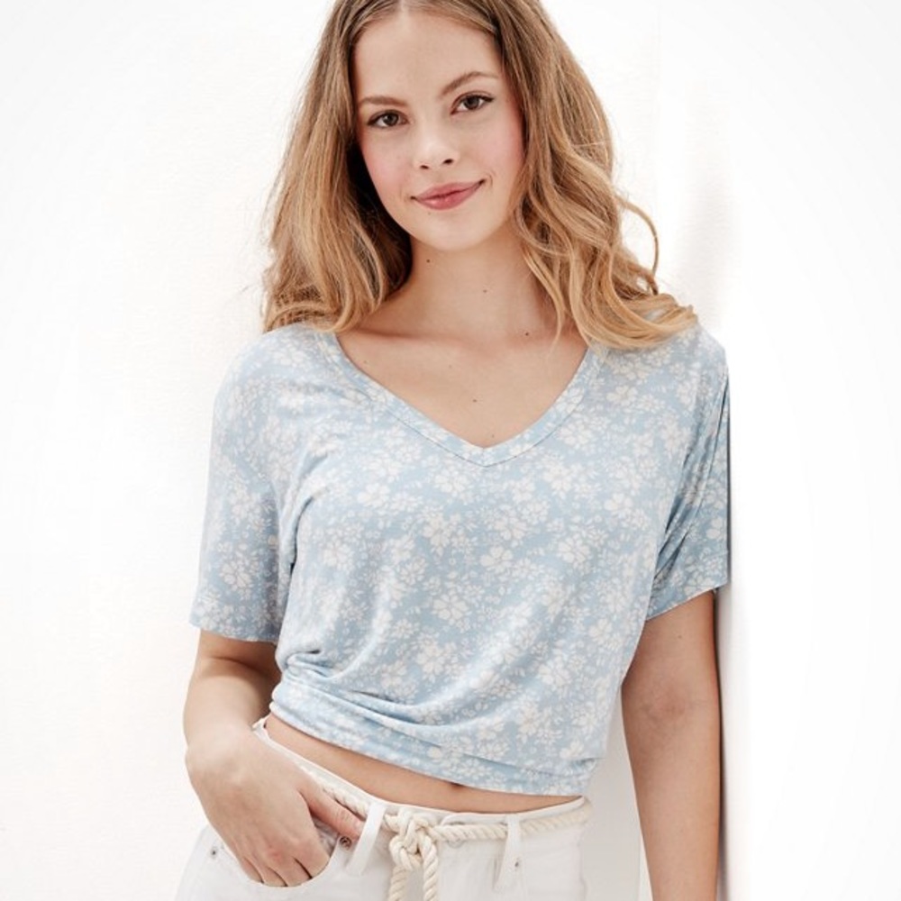 American Eagle soft and sexy v-neck tee